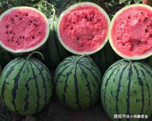 娱乐吃瓜酱好婚姻